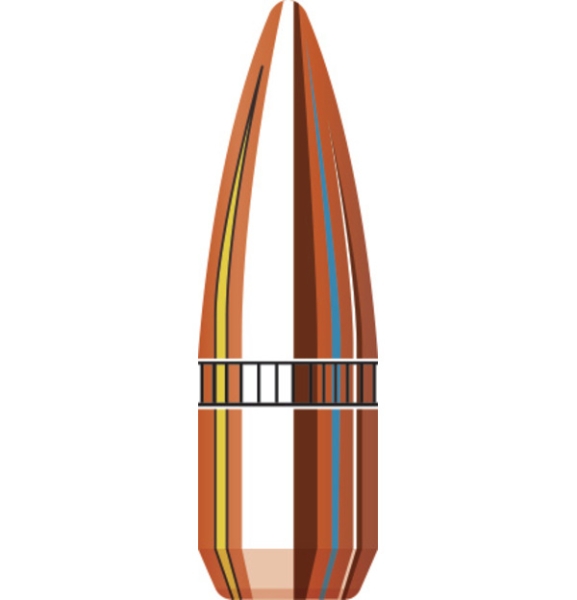 22 Cal .224 55 gr FMJ-BT